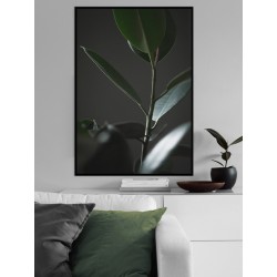 Постер в рамці "Фікус"