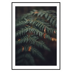 Постер в рамке "Fern"