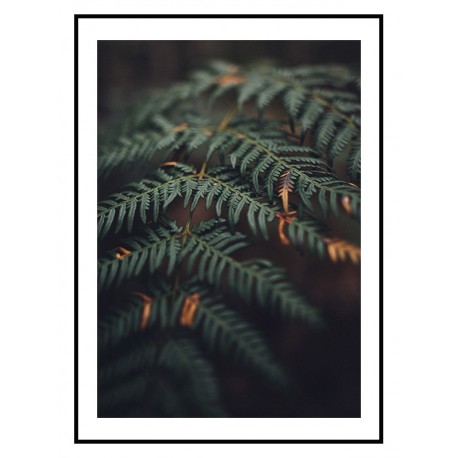 Постер в рамке "Fern"