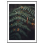 Постер в рамке "Fern"