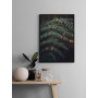 Постер в рамке "Fern"