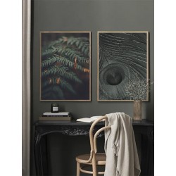 Постер в рамке "Peacock Feather"