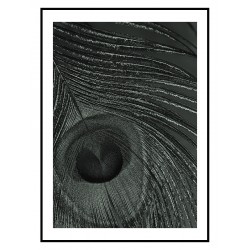 Постер в рамке "Peacock Feather"