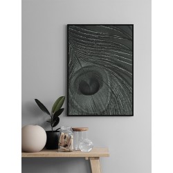 Постер в рамке "Peacock Feather"