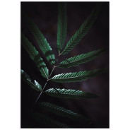 Комплект постерів "Green leaves"