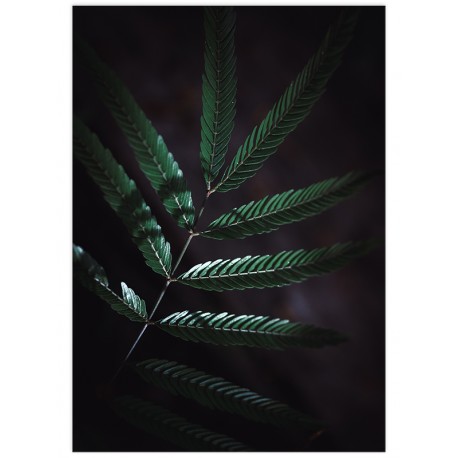 Комплект постерів "Green leaves"