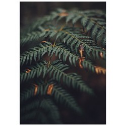 Комплект постерів "Aesthetics"