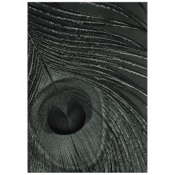 Комплект постерів "Aesthetics"