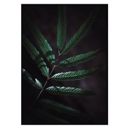 Комплект постеров в рамках "Green leaves"