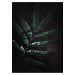 Комплект постеров в рамках "Green leaves"