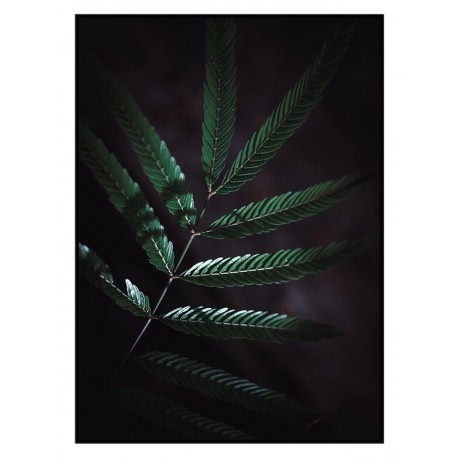Комплект постеров в рамках "Green leaves"