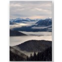 Постер "Olympic National Park"