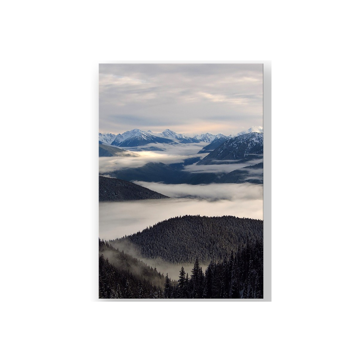 Постер "Olympic National Park"