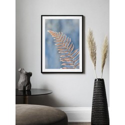 Постер "Папоротник"