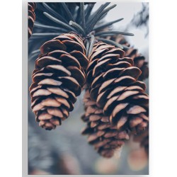 Постер "Сосна"