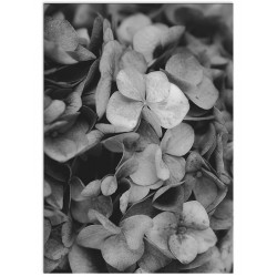 Комплект постерів "Fashion"