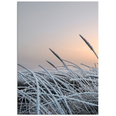 Комплект постеров "Frosty"