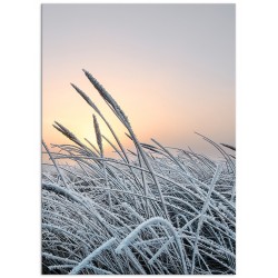 Комплект постерів "Frosty"