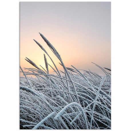 Комплект постеров "Frosty"
