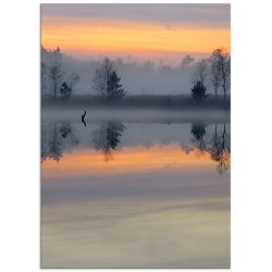 Комплект постерів "Рожевий серпанок"