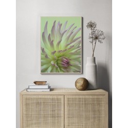 Постер "Георгина"