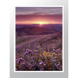 Постер "Цветочная поляна"