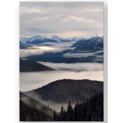 Комплект постерів "Nature blue"