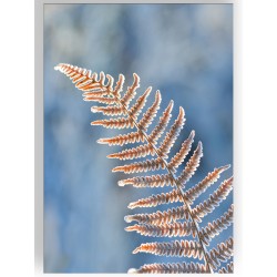 Комплект постерів "Nature blue"