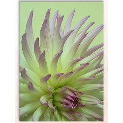 Комплект постеров "Nature purple"