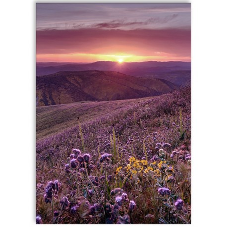 Комплект постеров "Nature purple"