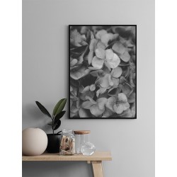 Постер в рамке "Гортензия"