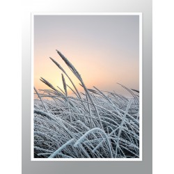 Постер в рамке "На рассвете"