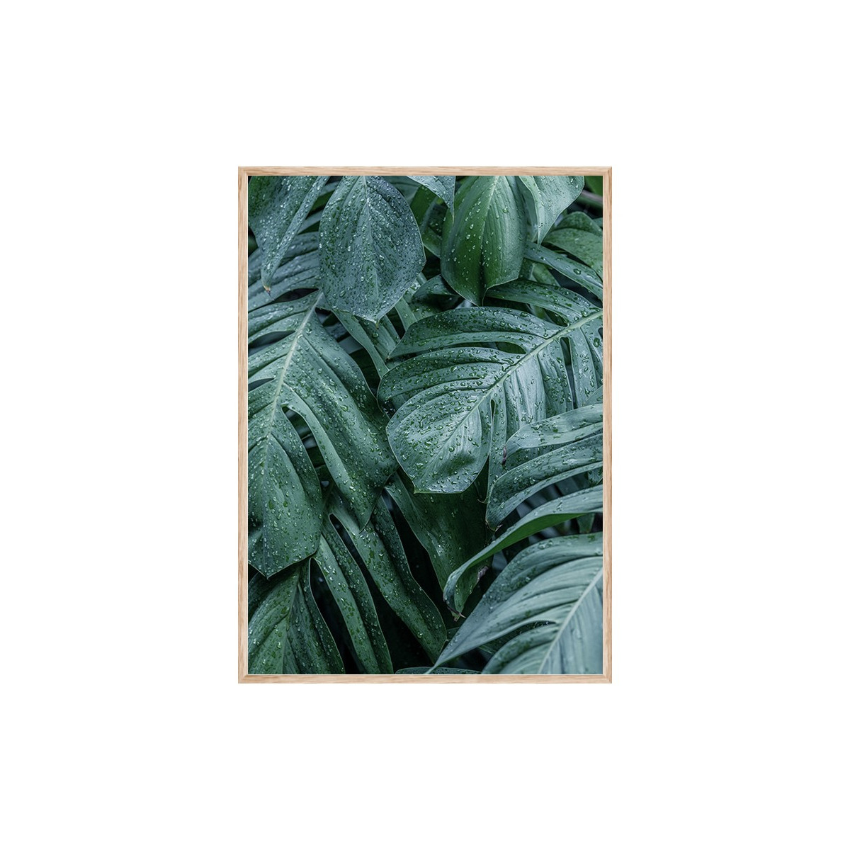 Постер в рамці "Monstera"