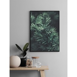 Постер в рамке "Тис"