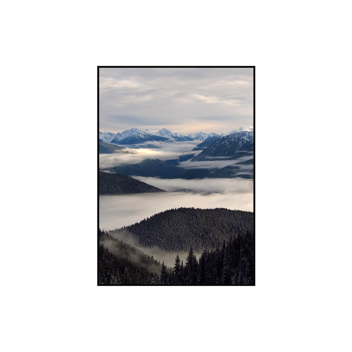 Постер в рамке "Olympic National Park"