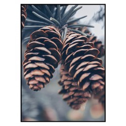 Постер в рамці "Сосна"