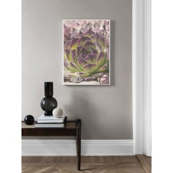 Постер в рамці "Троянда кам'яна"