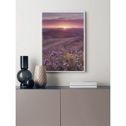 Постер в рамці "Квіткова галявина"