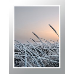 Комплект постерів в рамках "Frosty"