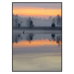 Комплект постерів в рамках "Рожевий серпанок"