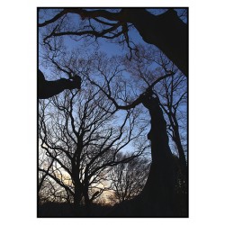 Комплект постеров в рамках "Nature blue"