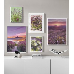 Комплект постеров в рамках "Nature purple"