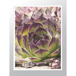 Комплект постеров в рамках "Nature purple"