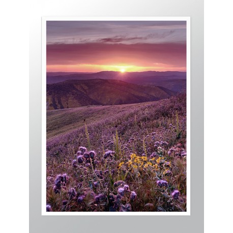 Комплект постеров в рамках "Nature purple"