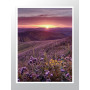 Комплект постеров в рамках "Nature purple"
