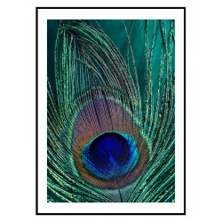 Постер в рамці "Павине перо"