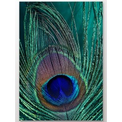 Комплект постерів "Magic Italy"