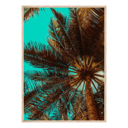 Постер "Palm"