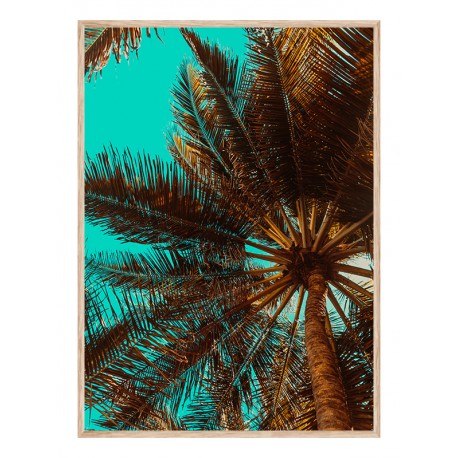 Постер "Palm"