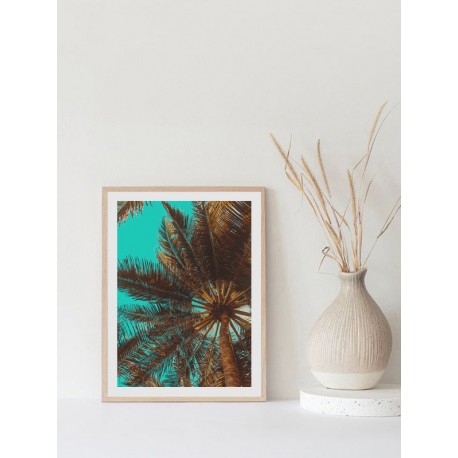 Постер "Palm"